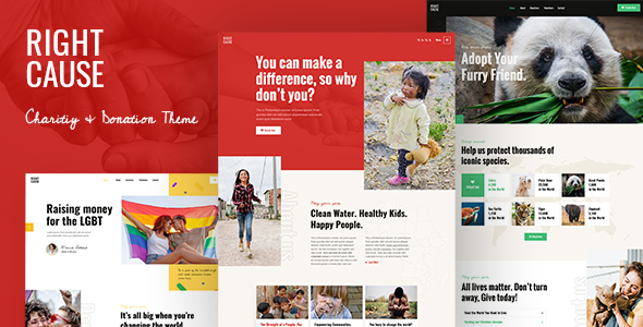 RightCause 1.3 - Charity and Donation WordPress Theme