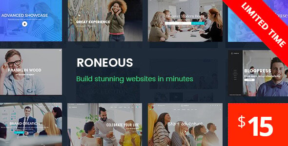Roneous 2.1.7 - Creative Multi-Purpose WordPress Theme