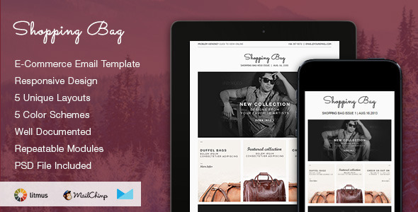Shopping Bag 1.0 - Responsive Ecommerce Email Template