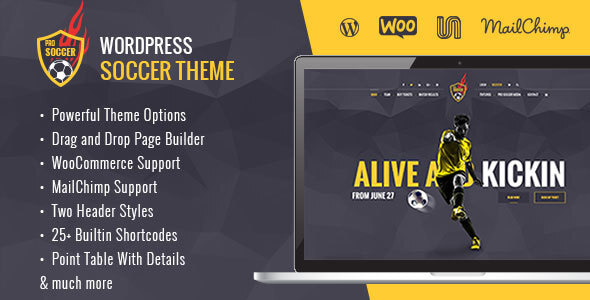 Soccer Acumen 1.1 - Football Club WordPress Theme