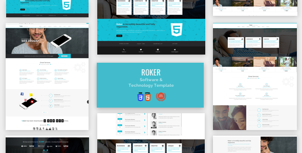 Software 1.5 - & Technology  Html Theme- Roker