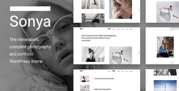 Sonya 6.2.2 - Photography  WordPress Theme
