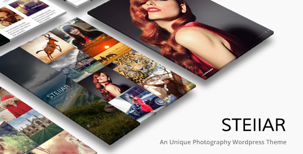 Stellar 2.9.1 - Photography WordPress