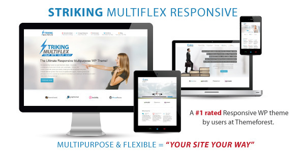 Striking 2.4.7 MultiFlex & Ecommerce Responsive WP Theme