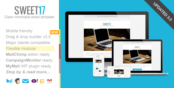 Sweet17 3.0 - Clean Newsletter with Template Builder