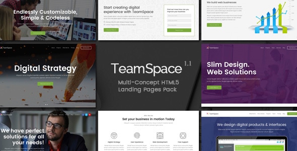 TeamSpace 1.1 - Multi-Concept Landing Pages Pack