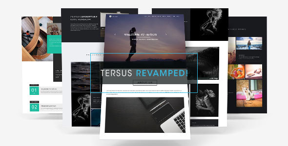 Tersus 2015.2 - Business Portfolio Parallax Muse Template