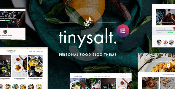 TinySalt 3.12.0 - Personal Food Blog WordPress Theme