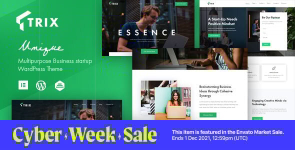 Trix 1.2.2 - Startup Business Theme