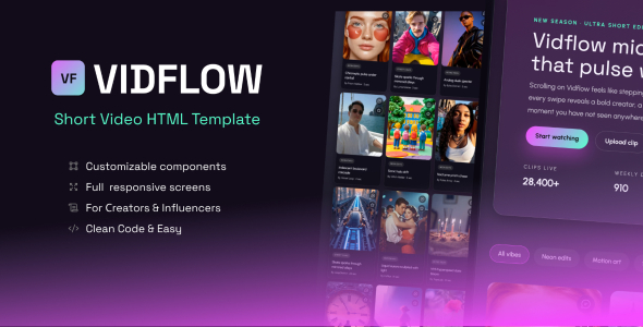 Vidflow  Short Video HTML Template