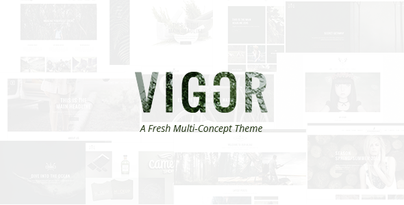 Vigor 3.4.2 Vintage WordPress Theme