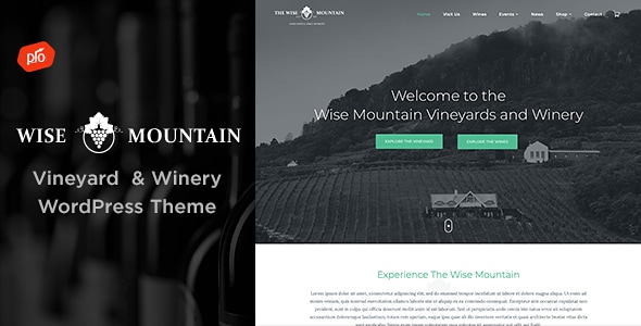 Wise Mountain 4.3 - Vineyard and Winery WordPress Theme